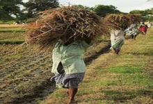 Gujarat Government action against rich farmers