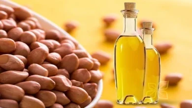 Increase in groundnut oil prices