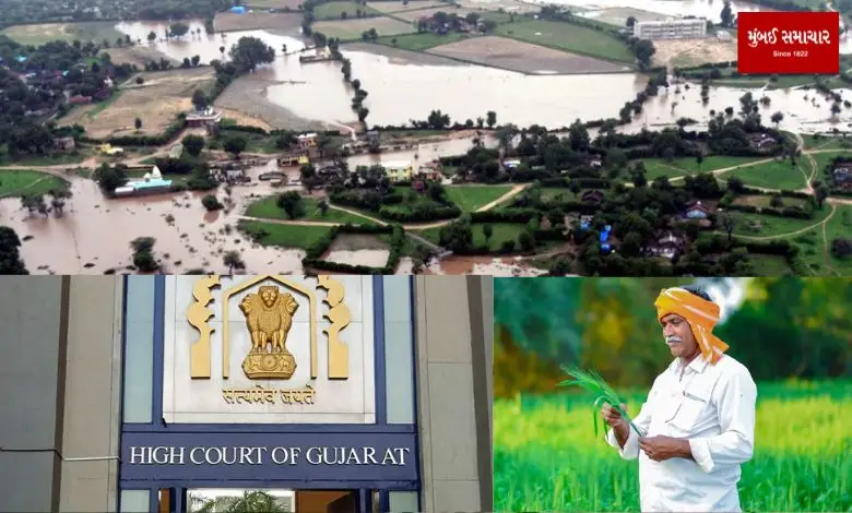 Gujarat High Court note while rejecting the state government's report on crop insurance compensation?