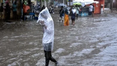 Rain havoc in Gujarat 10 NDRF teams deployed