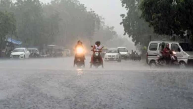 214 talukas in Gujarat received more than 8 inches of rain