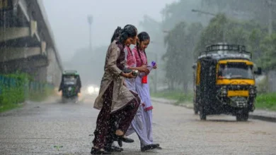 Rain In 175 talukas in Gujarat IMD heavy rain forecast in South Gujarat