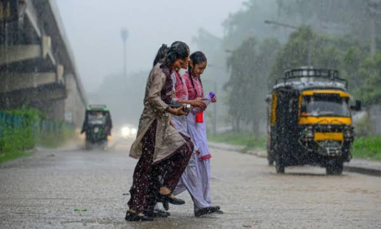 Rain continues in many parts of the Gujarat