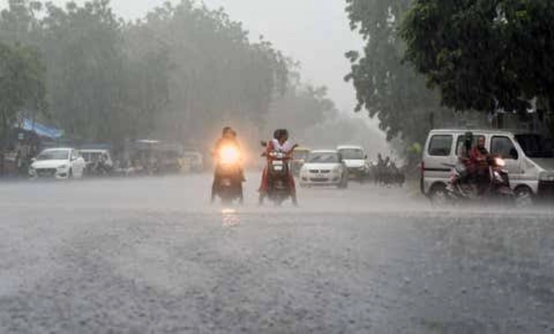 214 talukas in Gujarat received more than 8 inches of rain