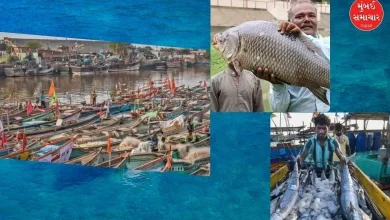 Gujarat ranks second in the country in marine fish production