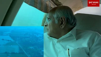Gujrat Chief Minister made an aerial inspection