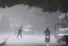 Two more died due to heavy rain in Gujarat