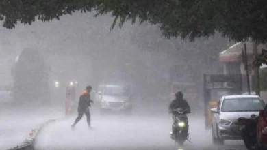 Two more died due to heavy rain in Gujarat