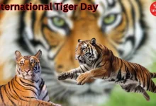 International Tiger Day Our national animal lives in 20 states of India