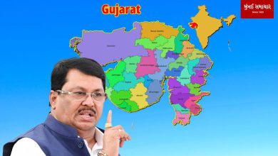 Gujarat GST officer buys 640 acres of land in Satara: Vadettiwar