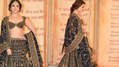 The actress reached Anant's reception as a beautiful beauty, people were left watching