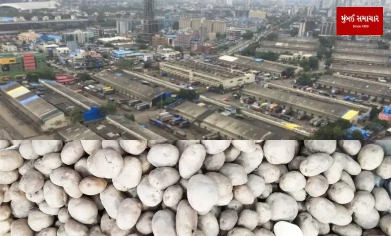 More than 300 tons of potatoes thrown at APMC
