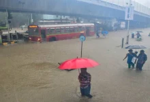 Monsoon 2024 know status gujarat maharashtra delhi