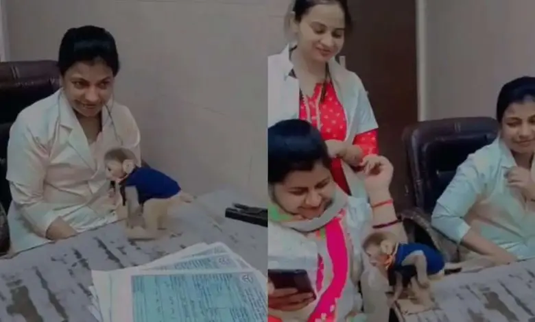 6 nurses suspended for playing with Baby Monkey