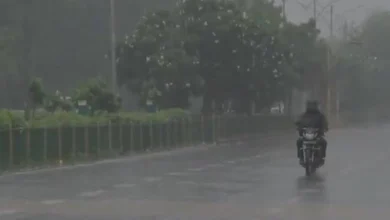 Monsoon 2024 IMD Rain forecast Delhi Madhya Pradesh Uttarakhand