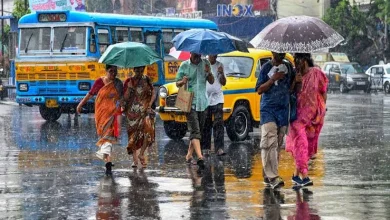 Monsoon 2024 IMD Rain forecast for several states in country including Delhi Rajasthan and MP