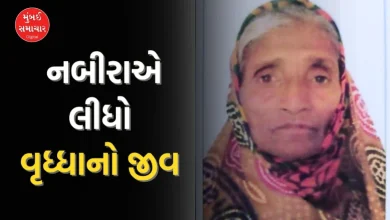 Hit and run incident in Rajkot, old man killed after being hit by Ertiga car