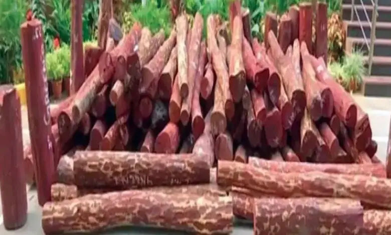 Sandalwood smuggling racket busted