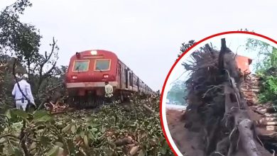 Train collides with tree in Chhattisgarh