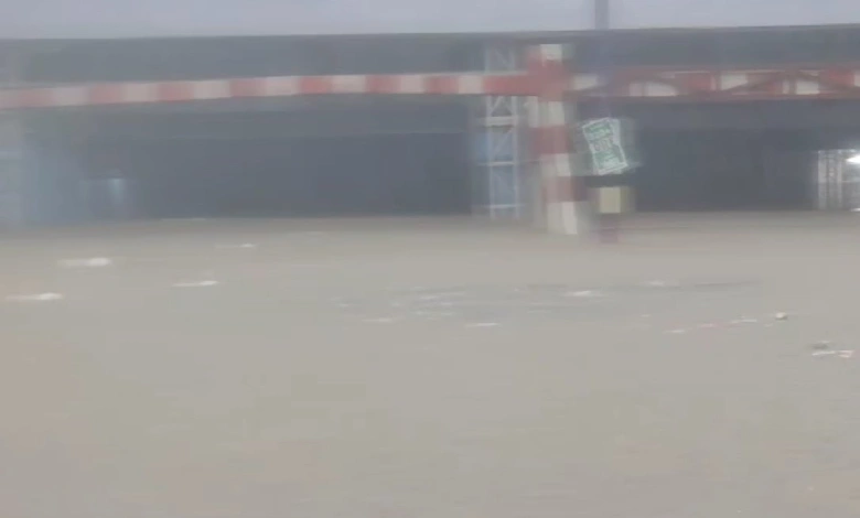 Heavy rain in Vadodara: Vishwamitri river near danger level