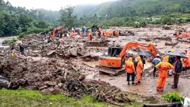 Infra. Destruction of forests in the name of development is the cause of landslides in Wayanad