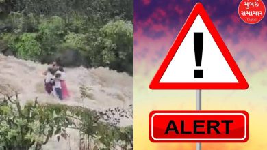Sudden flood, one by one the entire family was swept away, a horrifying video of Lonavala