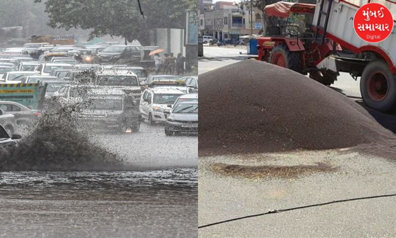 Haryana government: Asphalt is being spread on the road due to heavy rain