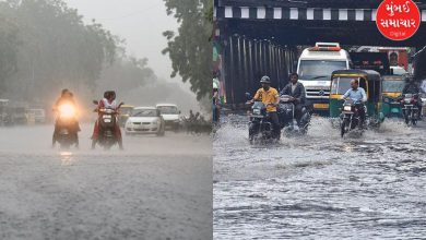 Heavy rain forecast in nine districts today in Gujarat, rain in 141 talukas in last 24 hours
