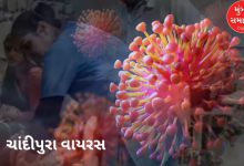 Chandipura virus spreading in Gujarat, 61 suspected cases, 21 deaths