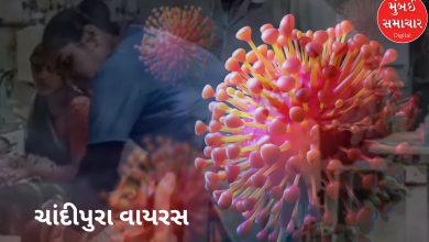 Chandipura virus spreading in Gujarat, 61 suspected cases, 21 deaths