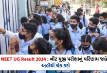 NEET UG Result 2024 : Center wise and city wise result of NEET UG exam declared