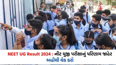 NEET UG Result 2024 : Center wise and city wise result of NEET UG exam declared
