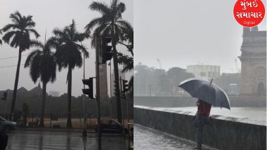 Chance of heavy rain in next 2-3 hours; NDRF deployed amid IMD alert