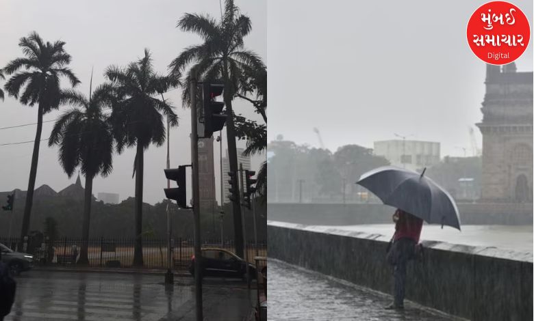 Chance of heavy rain in next 2-3 hours; NDRF deployed amid IMD alert