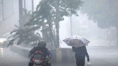 Monsoon 2024: Meteorological department has predicted rainfall in these nine states
