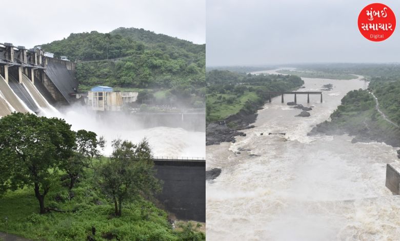 Green Drought conditions in several districts of Gujarat, Valsad district averaged 56 inches of rain