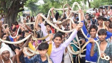 Snake fair, you will be surprised to see people doing tricks with snakes, know what is the worship of Vishahari Mata