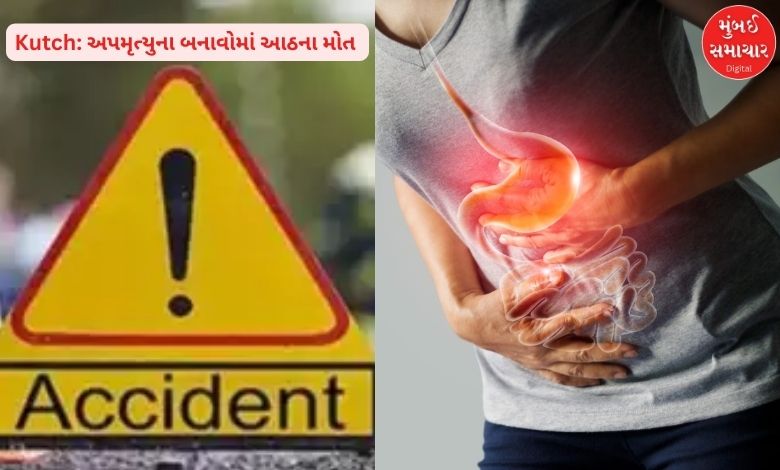 Tragedy in Kutch: Eight killed in fatal incidents