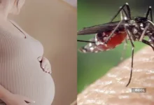 Zika Virus Outbreak in Maharashtra 2024