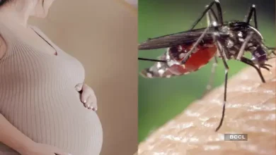 Zika Virus Outbreak in Maharashtra 2024