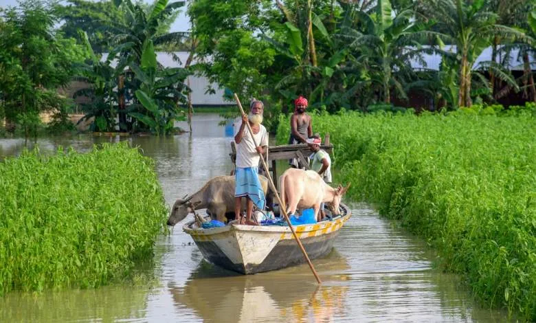 Assam Flood: Due to flood in Assam, heavy devastation, 58 people died, people's life is chaotic