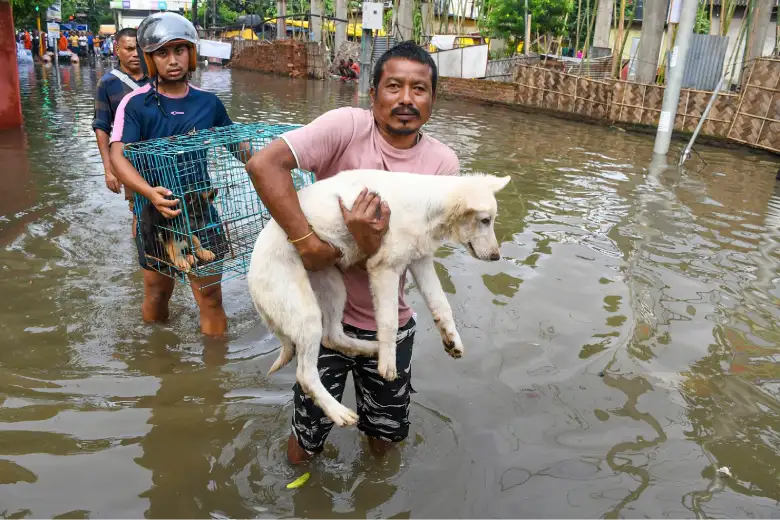 Assam Flood: Due to flood in Assam, heavy devastation, 58 people died, people's life is chaotic