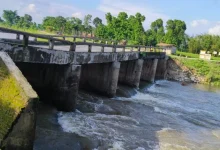 Bihar bridge collapse supreme court litigation
