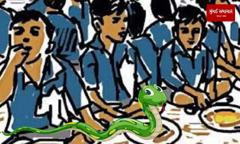 Dead snake found in midday meal