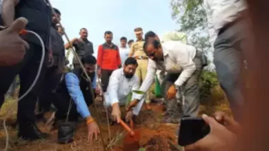 Chief Minister Eknath Shinde's Harit Thane Campaign: Plantation of 3 thousand trees of different species