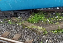 goods train derails near Valsad