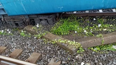 goods train derails near Valsad