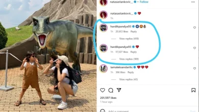 Say, Hardik Pandya commented on Natasa Stankovik's post for the first time after Divorce...