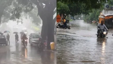 Heavy rain in Saurashtra - 11 inches in Kalyanpur taluk of Dwarka