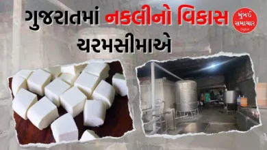 Quantity of fake Panner seized from Jetpur, Gujarat